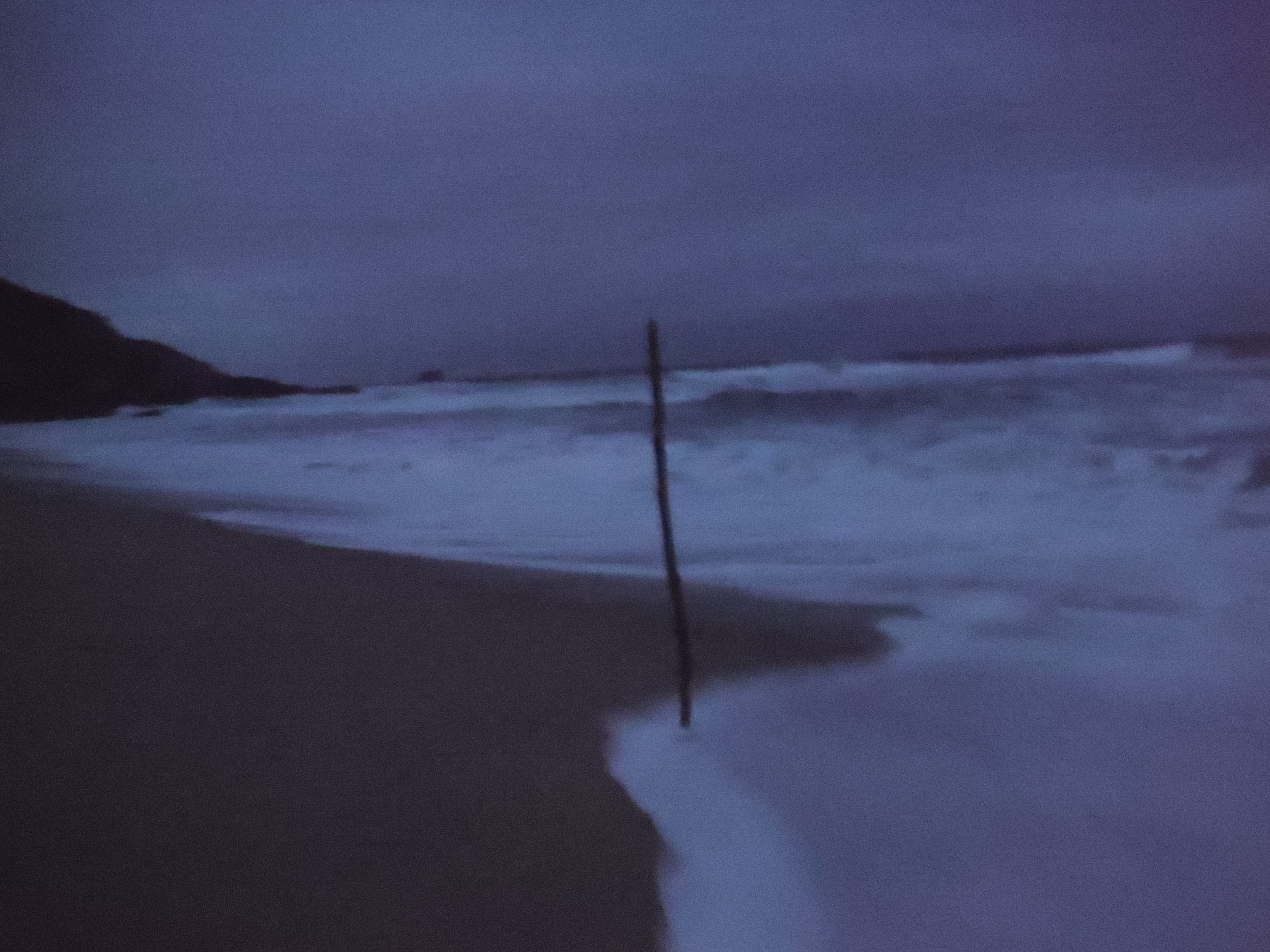 Recent personal photo 5
